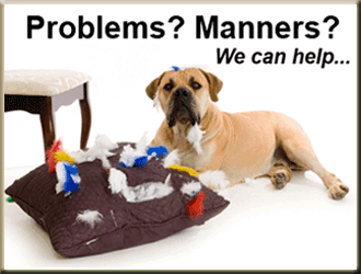 dog obedience